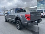 2023 F-150 Thumbnail 3