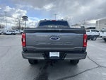 2023 F-150 Thumbnail 4
