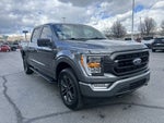 2023 F-150 Thumbnail 7
