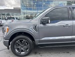 2023 F-150 Thumbnail 9