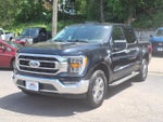 2023 F-150 Thumbnail 3