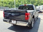 2023 F-150 Thumbnail 7