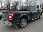 2020 F-150 Thumbnail 3