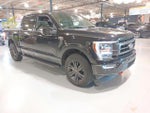 2021 F-150 Thumbnail 4