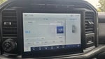 2021 F-150 Thumbnail 13