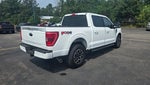 2021 F-150 Thumbnail 19