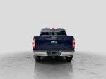 2021 F-150 Thumbnail 5