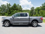 2021 F-150 Thumbnail 5