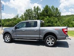 2021 F-150 Thumbnail 7