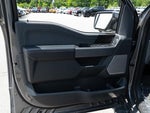 2021 F-150 Thumbnail 16