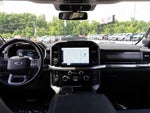 2021 F-150 Thumbnail 19