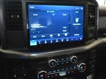 2021 F-150 Thumbnail 11