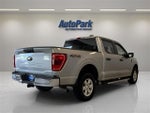 2021 F-150 Thumbnail 7