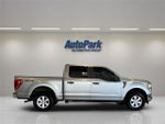 2021 F-150 Thumbnail 8