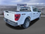 2021 F-150 Thumbnail 4