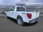 2021 F-150 Thumbnail 7