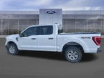 2021 F-150 Thumbnail 8