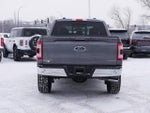 2021 F-150 Thumbnail 4