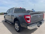 2021 F-150 Thumbnail 4