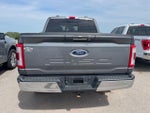 2021 F-150 Thumbnail 6