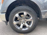2021 F-150 Thumbnail 19