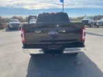 2022 F-150 Thumbnail 12