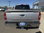 2022 F-150 Thumbnail 4