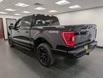 2022 F-150 Thumbnail 6