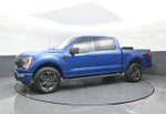 2022 F-150 Thumbnail 4