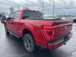 2022 F-150 Thumbnail 5