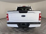 2022 F-150 Thumbnail 6