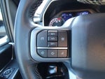 2023 F-150 Thumbnail 19