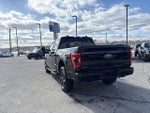 2023 F-150 Thumbnail 7