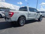 2023 F-150 Thumbnail 4