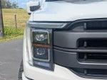 2023 F-150 Thumbnail 10