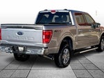 2023 F-150 Thumbnail 11