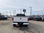 2023 F-150 Thumbnail 6