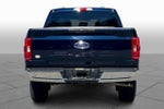 2023 F-150 Thumbnail 7