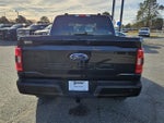 2023 F-150 Thumbnail 10