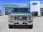 2023 F-150 Thumbnail 8