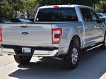 2023 F-150 Thumbnail 10