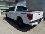 2023 F-150 Thumbnail 4