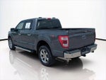 2023 F-150 Thumbnail 7