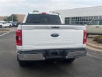 2023 F-150 Thumbnail 7