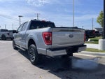 2023 F-150 Thumbnail 3