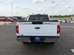 2023 F-150 Thumbnail 6