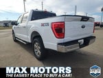 2023 F-150 Thumbnail 5