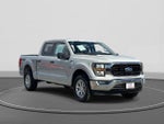 2023 F-150 Thumbnail 4