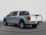 2023 F-150 Thumbnail 7