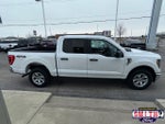 2023 F-150 Thumbnail 4